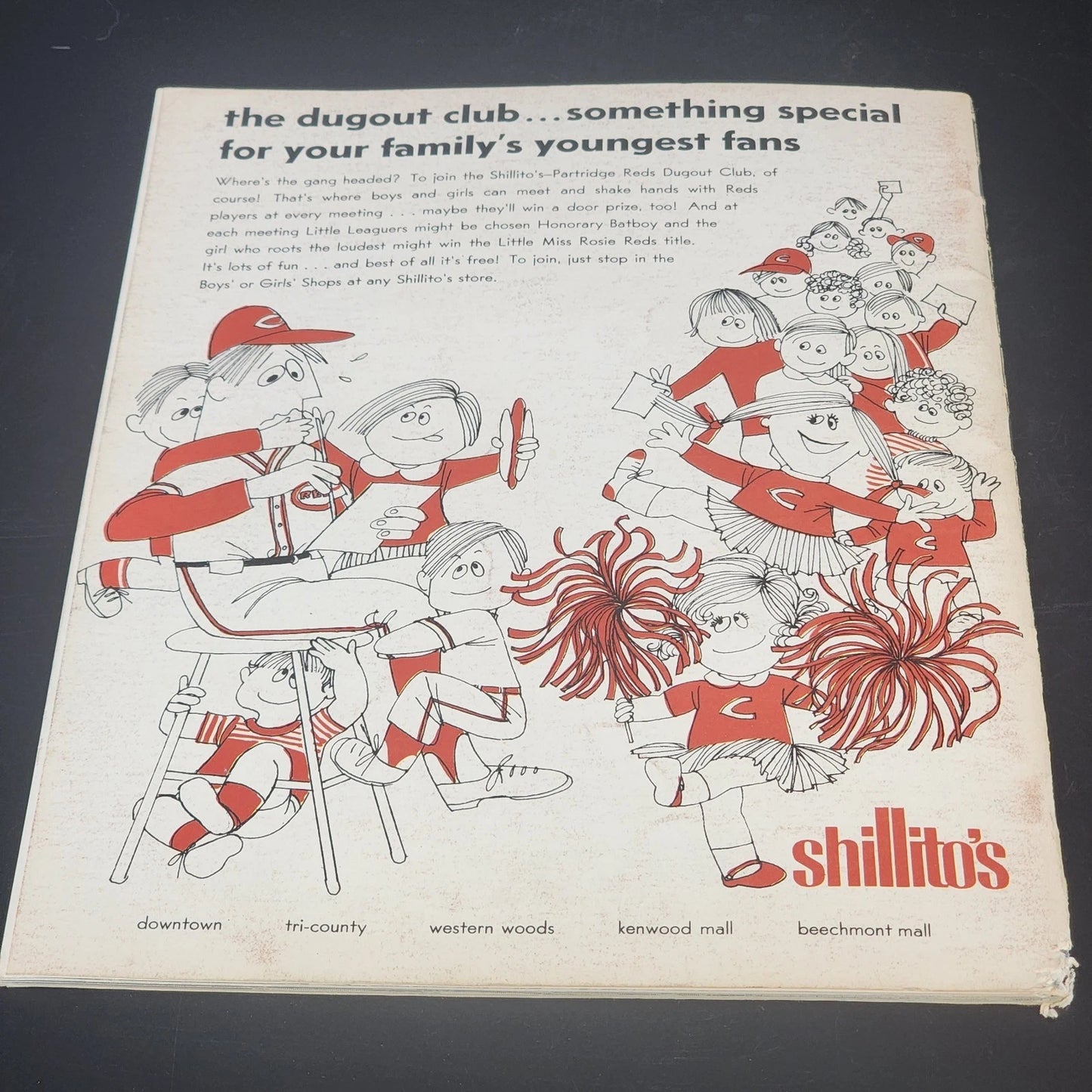 Cincinnati Reds 1972 Yearbook Johnny Bench Pete Rose Joe Morgan MLB Magazine Vtg