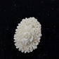White Molded Celluloid Plastic Carved Style Brooch 1" Oval Flower Design