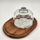 Teakwood Cheese Board Tray Marble Slab & Glass Dome Dolphin