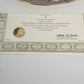 Franklin Mint Kitty Car Troubles Bryan Moon Porcelain Plate Limited Edition COA