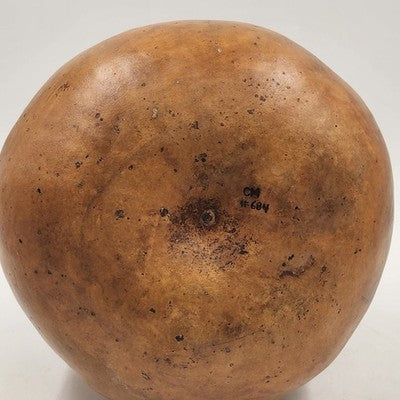 Sun Dried Gourd Bowl Carved Floral The Wild Gourd Studio Lacy Vine Rim 10"x7.5"h