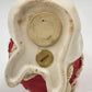 Spaghetti Santa Claus Bank 1960 Vintage Midcentury Japan Display Insert Orig Box