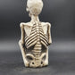 Halloween Resin Molded RIP Skeleton Grave Stone Serpent 13.5" Yard Decoration