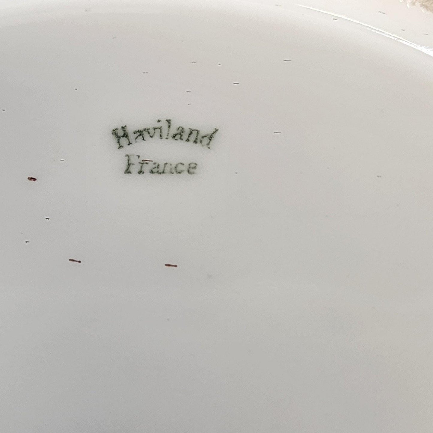 Haviland Limoges France Antique Hand Painted Rose Plate Heavy Gold Rim 9.25"x1"