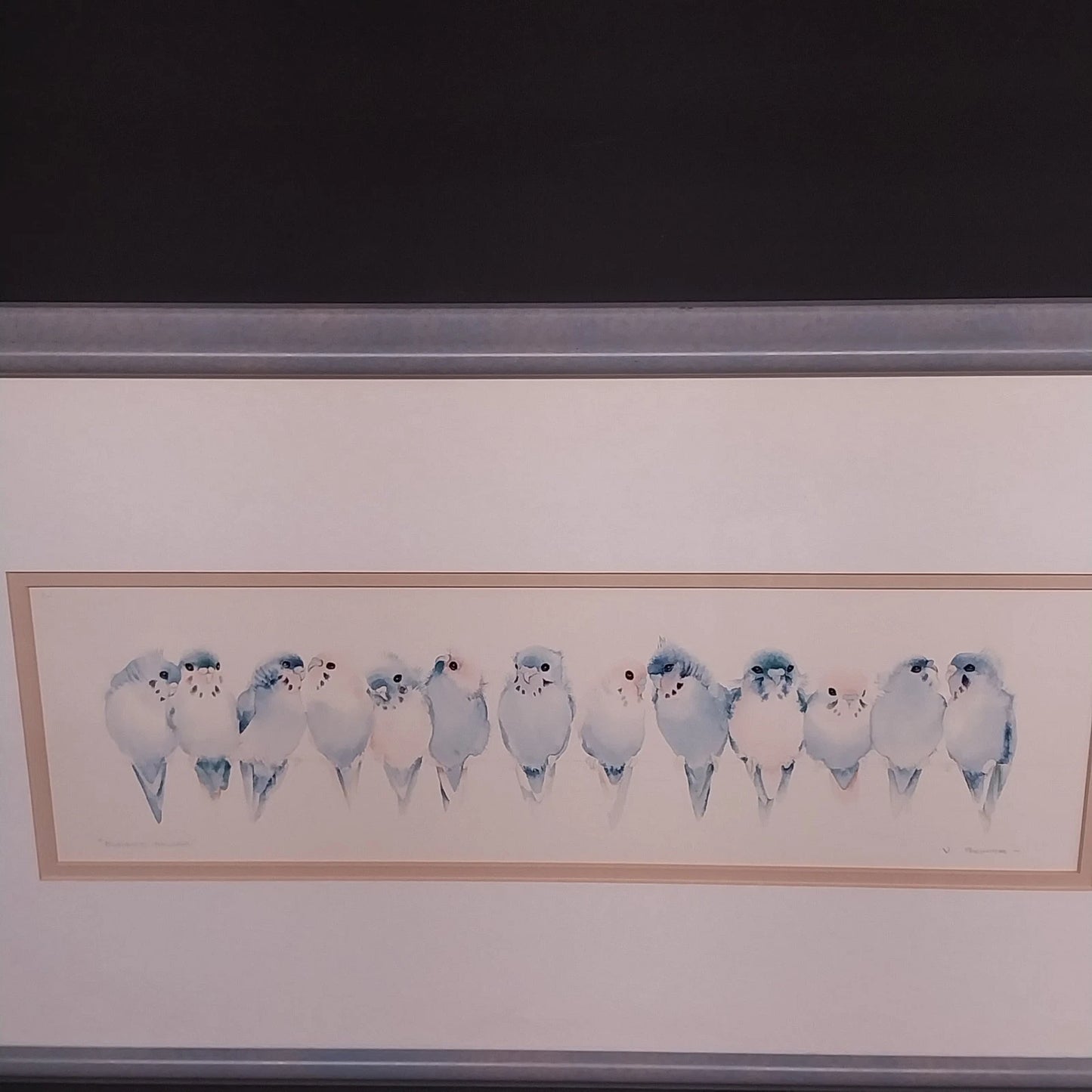 Valerie Pfeiffer Budgies Galore Framed Art Print Bird Watercolor