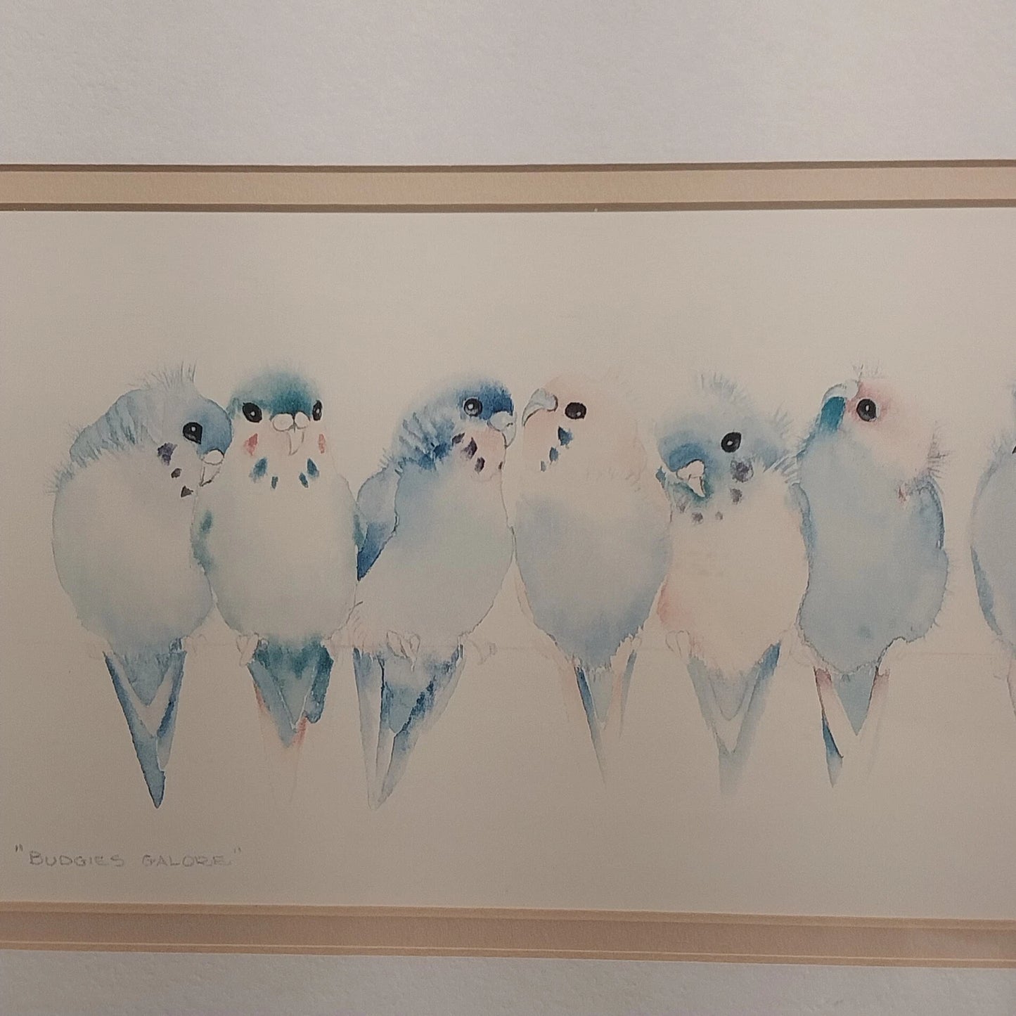 Valerie Pfeiffer Budgies Galore Framed Art Print Bird Watercolor