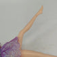 Mattel Barbie Mariposa Willa Lavender Fairy Doll Butterfly 2007 Body 2004 Head