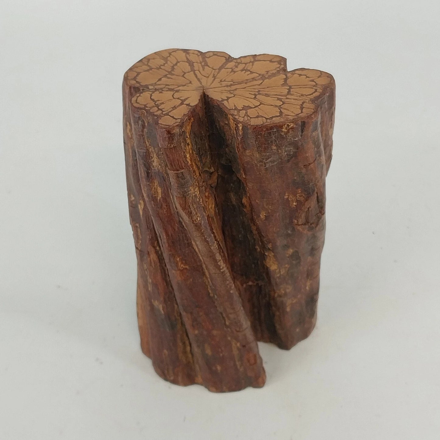 Solid Wooden Stump Rustic Decor Natural Finished Wood 6" Growth Rings Farmhouse